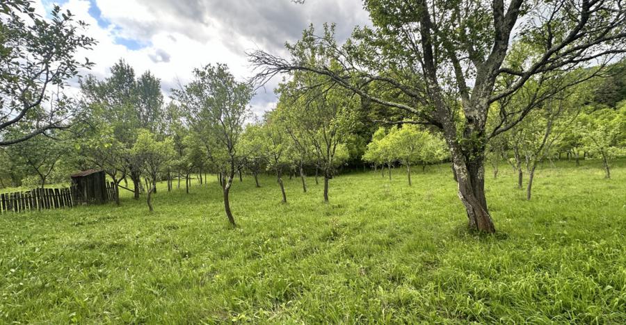 Teren intravilan 3102mp zona Racovita-Blanoiu - 8