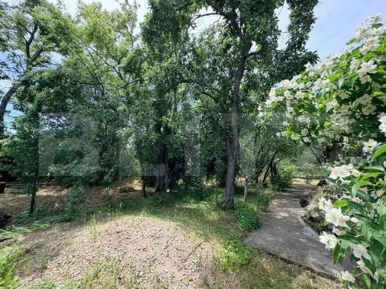Oaza de lini?te! Casa cu teren mare, utilita?i ?i mult spa?iu verde - 12