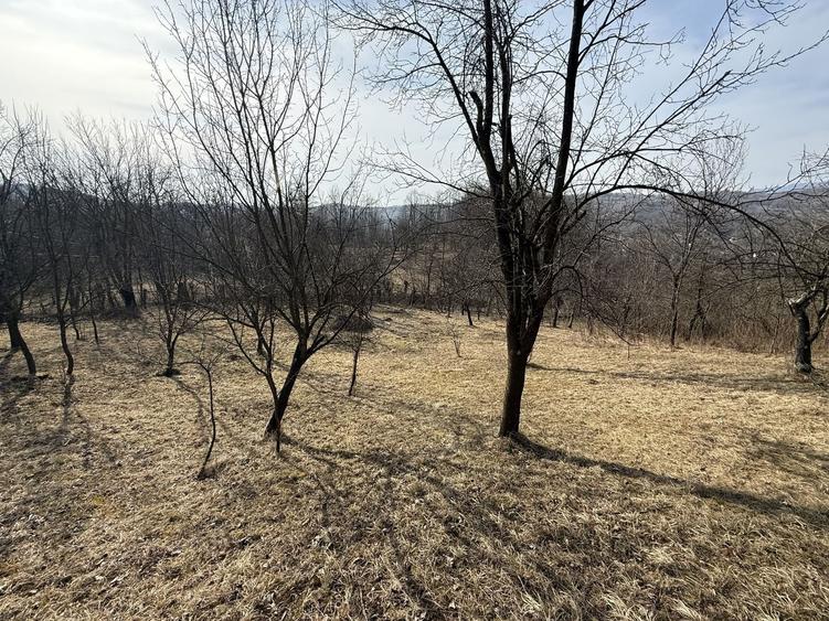 Teren intravilan 2788 mp deschidere 55 ml cu vedere panoramica ! - 5