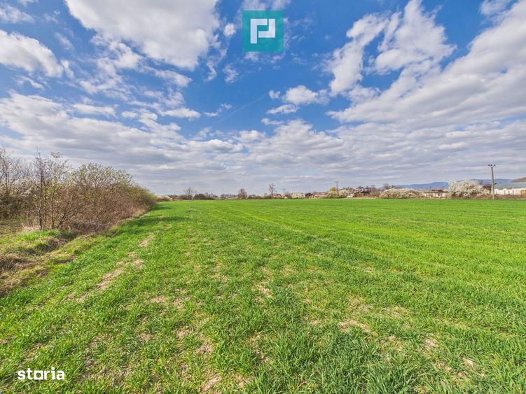 Teren extravilan, 1 ha, in ora?ul Sebi?, Arad - 2