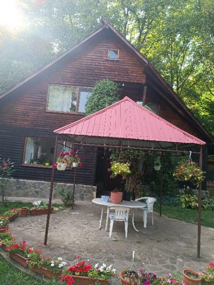 Casă cu 5 camere cu Teren 6500 Mp în Izvoarele