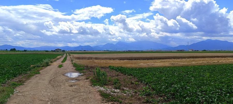 Teren parcelabil , Harman - Zona Aleea 14 - 4