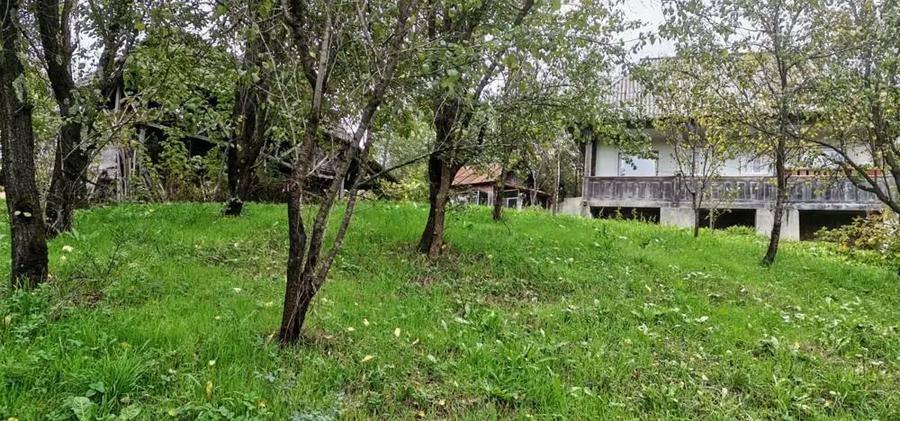 Casa de vanzare - teren 2357 mp in comuna Pietrari - 1