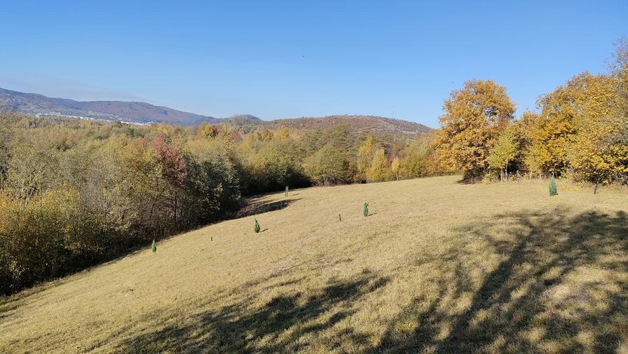 Tohanita, Brasov - 2