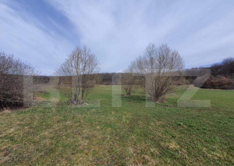 Teren de vanzare extravilan, 1ha, drumul Sigmirului - 1
