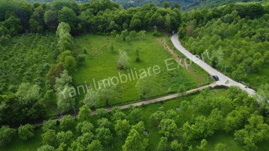 Teren de vanzare in comuna Corbi, jude? Arge?. - 4