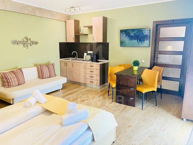 Studio de închiriat-perioada 1-3 luni - 1