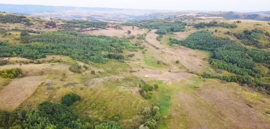 Vând Teren Extravilan Beceni, Jud. Buzău 63.000 mp - 1