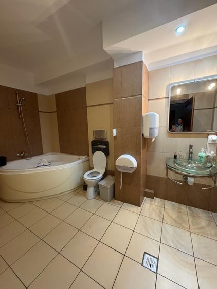 Duplex 350 mp/terasa/sauna/5 dormitoare la inchiriat - 3