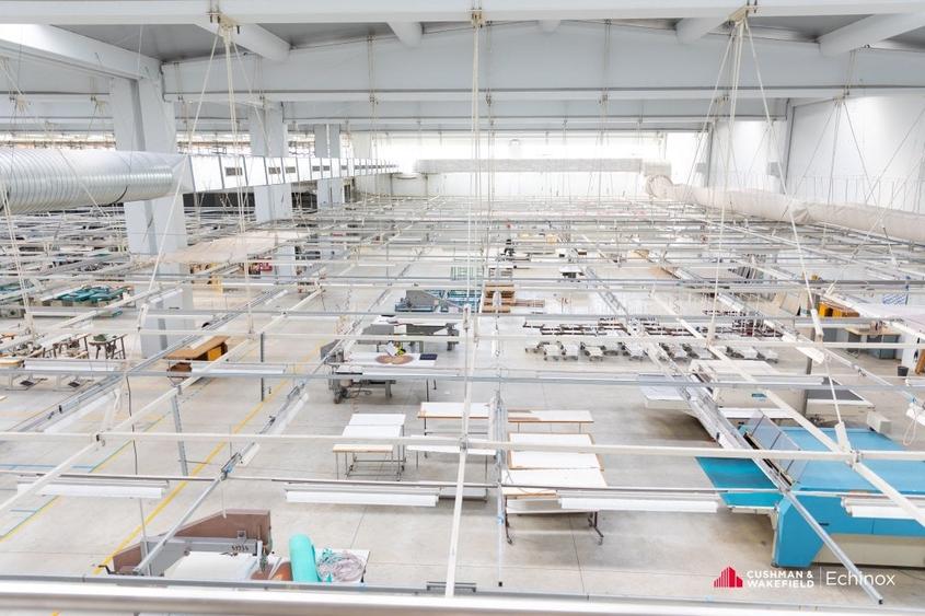 Timișoara - Depozit și birouri de vânzare - 6