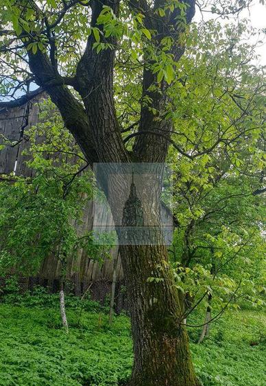 Casa batraneasca de vanzare in Tarlungeni - 4