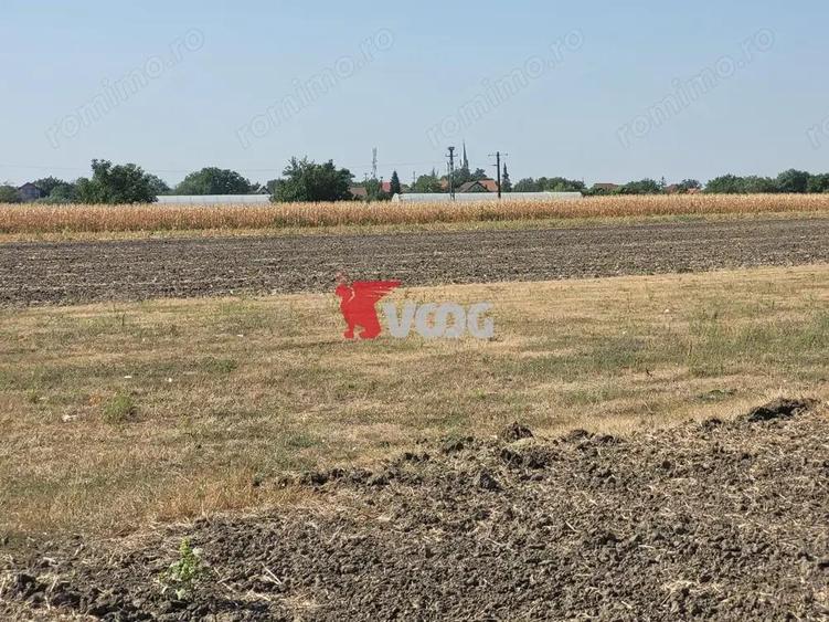 Teren intravilan Sag incepand de la 26.000! - 4