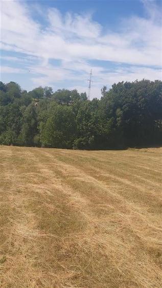 RECO, teren extravilan, Zona Sinteu, Bihor - 1