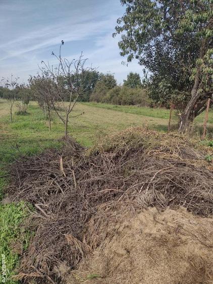 Casa cu anexa mare si teren la 35 km de Timisoara - 1