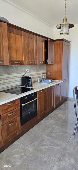 Fuperb Apartament Parcul Tabacariei , termen lung vedere parc si lac - 12