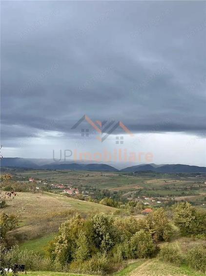 TEREN | 9341 MP | BALNACA GROSI | BIHOR - 2