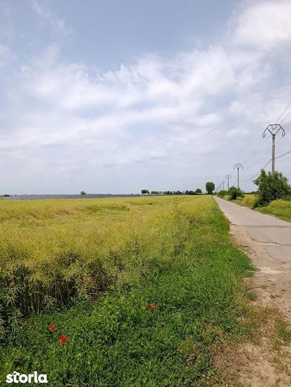 Proiect Greenfield, S.216.967mp, P.U.Z.-Hale, Rezidential, Ilfov. - 5