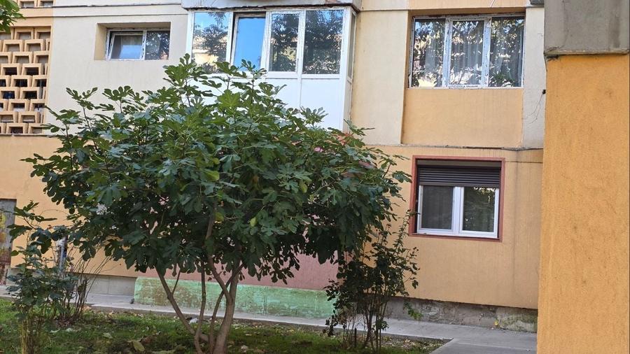 Apartament 2 camere, etaj 1, Stomatologie - 3