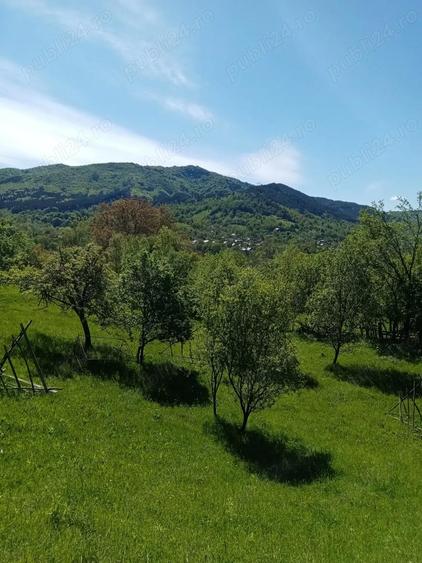 Vand casa ?i teren in Valea Doftanei. - 4