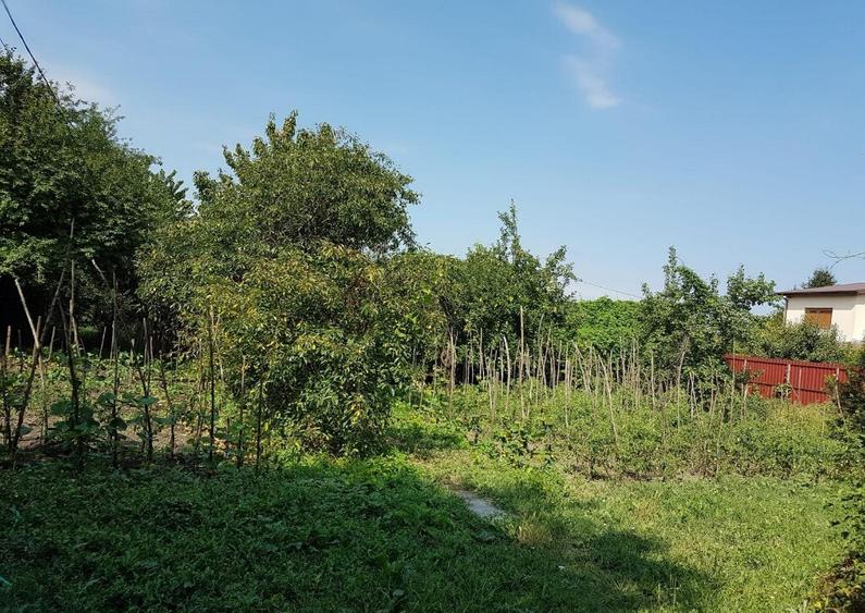 Casa si spatiu comercial in Singureni, Giurgiu - 1