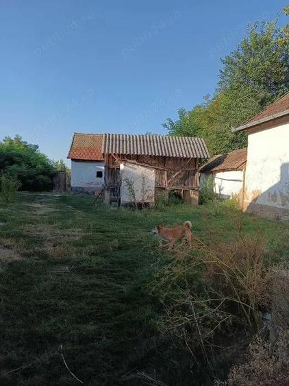 Casa de vanzare Boiu Bihor - 2