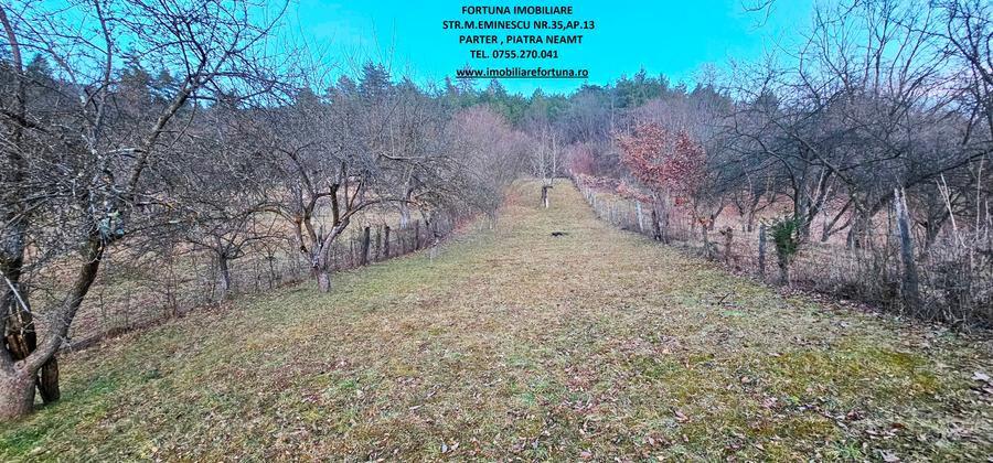 Casa+Anexa+Teren 1785 mp, la 5 minute de oras - 3