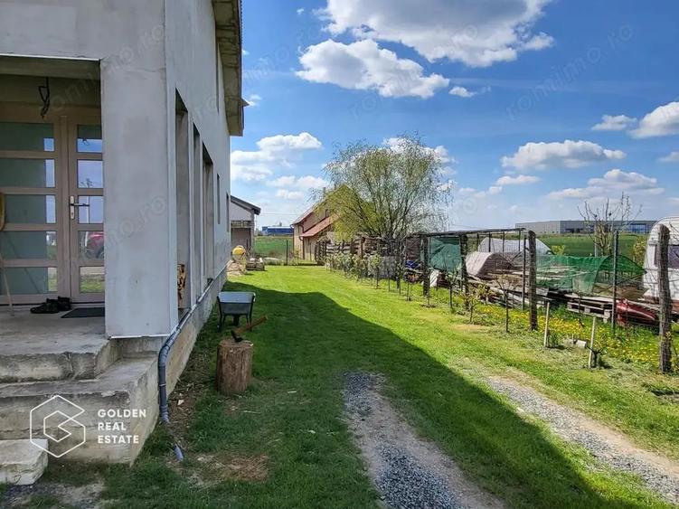 Casa P+M, Frumuseni - 18