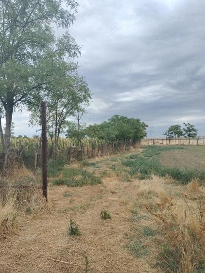 Vand casa batraneasca sat Smirna jud ialomita - 4