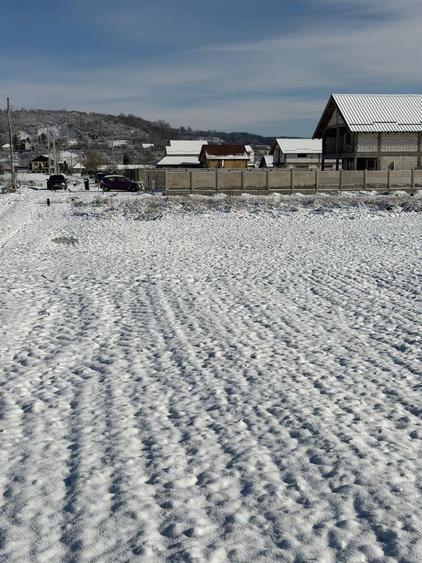 Vand teren intravilan Proaspeti Curtisoara - 1