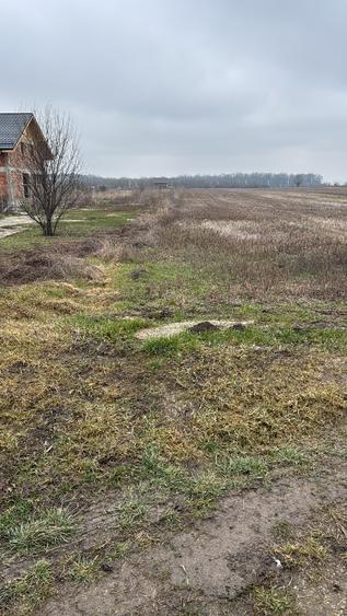 Loturi 500 mp Darza Buftea  - 1