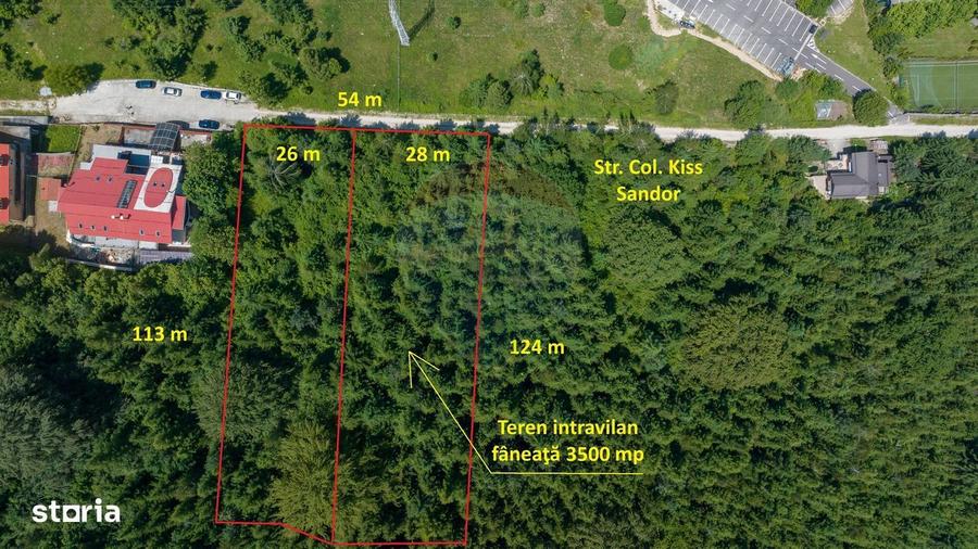 TTeren intravilan, 3500 mp, Dambu Morii - 9