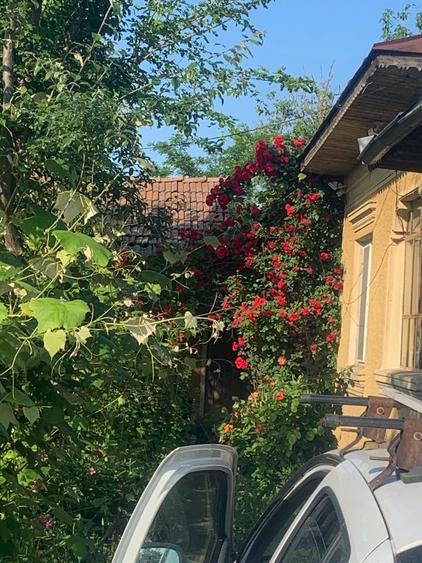 Casa de vanzare Teleorman , Baneasa - 4