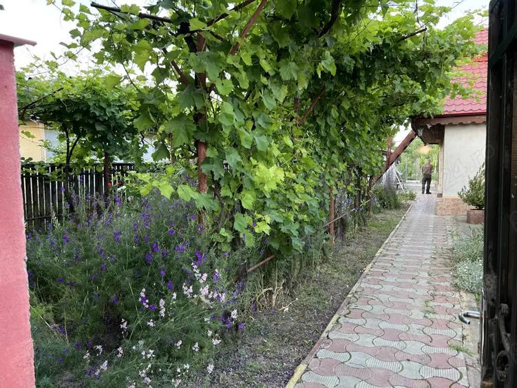 Casa Lacu Sarat Brailei - 9