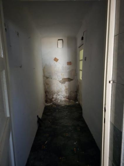 Fratelia- Casa si teren- 1438 mp - 13