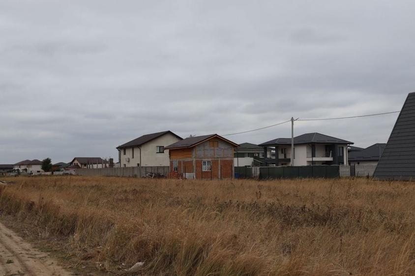 Teren intravilan 500 mp Dragomiresti Vale, str Lalelelor - 1