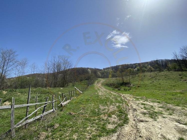 Teren 13.000 mp zona de deal - Aninoasa AG - 3