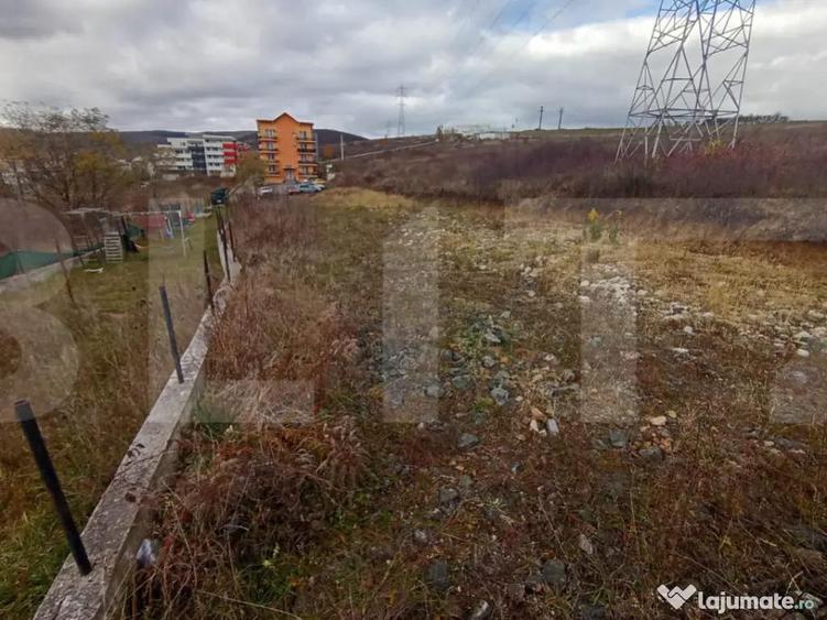 Teren de investitie 4642 mp in zona Strazii Cometei din Baci - 2