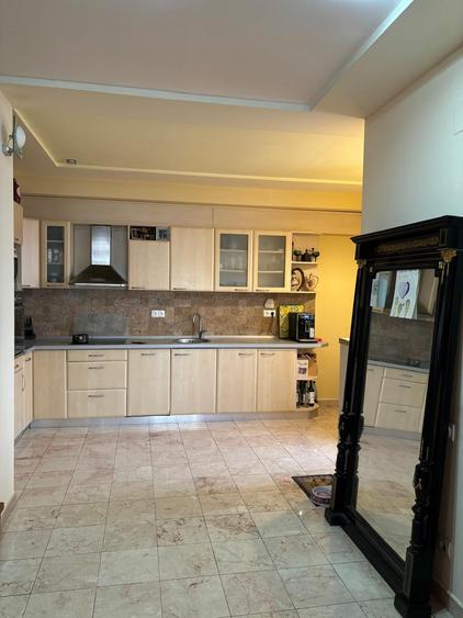 Casa superba Parcul Subarini - 7