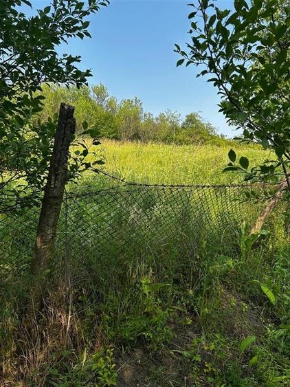 RECO Terenuri intravilane+ Teren Extravilan 8200 mp, Cartier Podgoria - 7