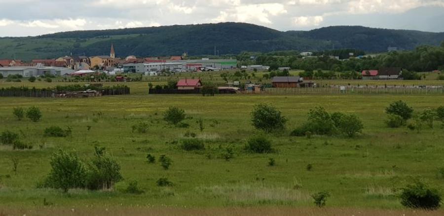 Vand teren arabil 1000 mp.,  Selimbar in zona Troita pe str. Aleea Monumentului  - 6