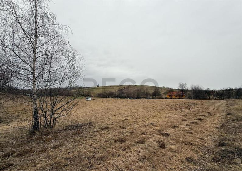 RECO , teren intravilan in Tomnatic, Vadu Crisului - 7