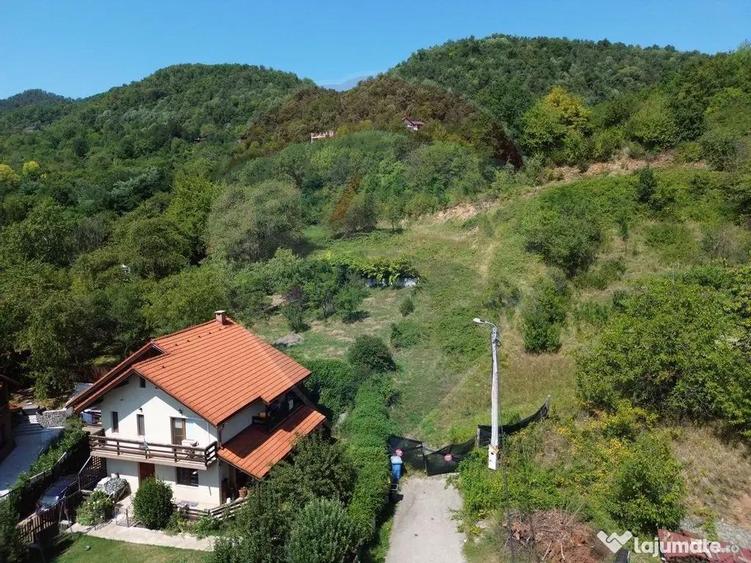 Teren 2,868mp /case/ duplexuri /Baia Mare / Strada Sanata... - 1