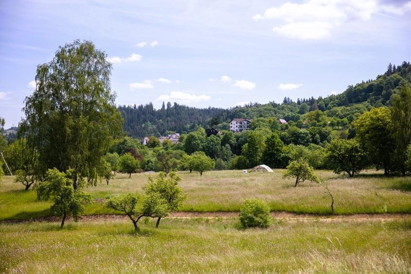 Teren intravilan plat in Bran, 1000 mp, vedere către Bucegi, utilitati - 1