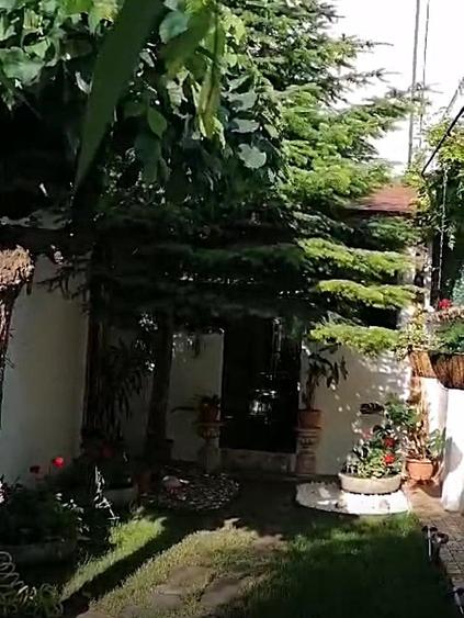 Vanzare casa renovata 2 camere curte proprie foisor Cotroceni - 6