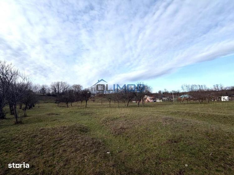 Teren intravilan Valenii de Munte 9.123 mp | Deschidere 45 ml | L - 17