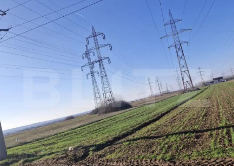 Teren extravilan 5.000 mp | Deschidere 15,79 m | Acces DN7 | - 3