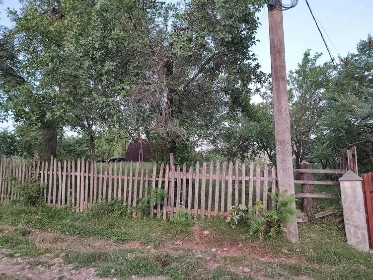 Teren de 1584 mp, în Talea