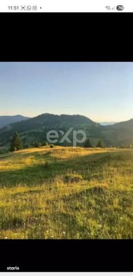 Teren Budeasa cu iesire la lac - 2