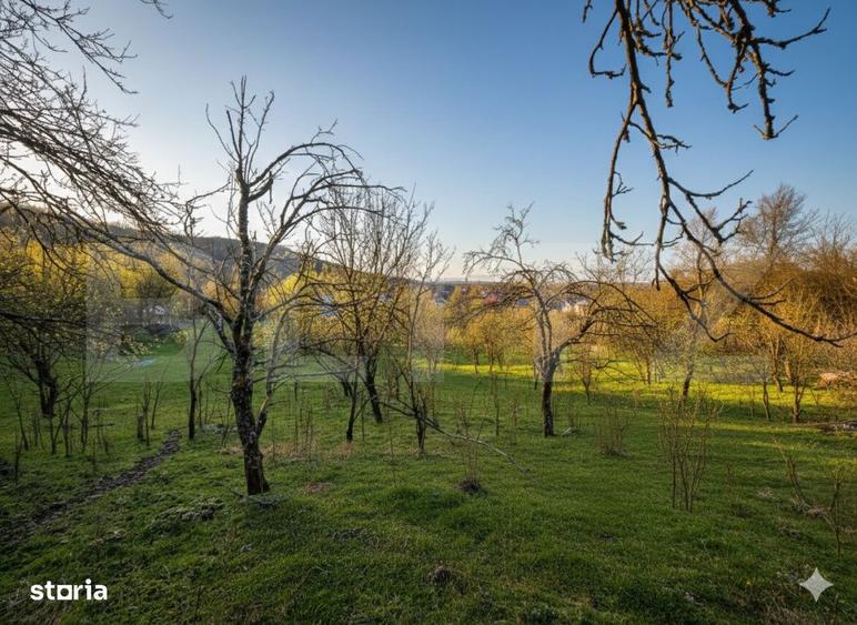 Teren intravilan, 9066 mp, zona Aninoasa - 6