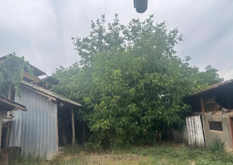 URGENT CASA renovata, 2023 mp teren, LA PRET DE GARSONIERA - 7